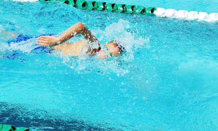 What Is A Swim Meet Like